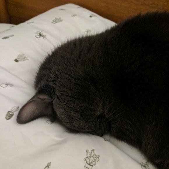 Welcome to Hippie & Blue! - Picture 4 of 6